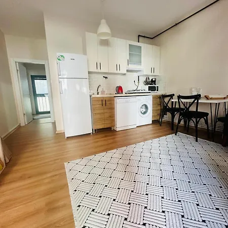 Duplex Detached House 10 Km From Istanbul Airport